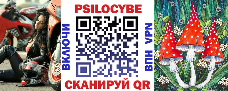 Галлюциногенные грибы Psilocybe  где купить   Зеленоградск 